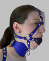 Harness gag and collar.jpg